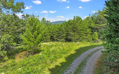 0 N View Dr unit 327583, Mineral Bluff, GA 30559 - photo 2