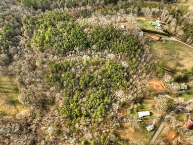 9.22 Ac Douthit Rd, Mineral Bluff, GA 30559 - photo 4