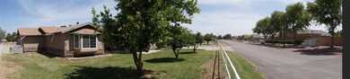 2Front Yard Citrus Trees