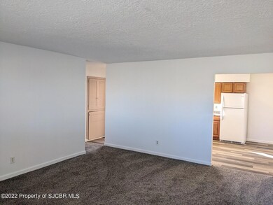 3601 Piedra Vista Dr, Farmington, NM 87402 - photo 4