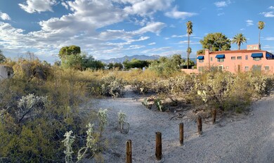 BACK OF LOT, FACING EAST