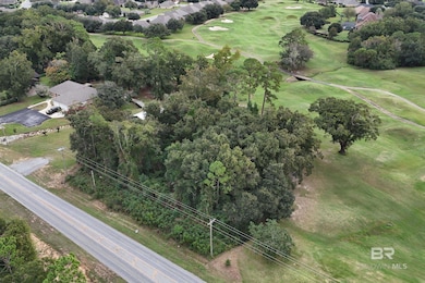 0 Miflin Rd unit 386943, Foley, AL 36535 - photo 6