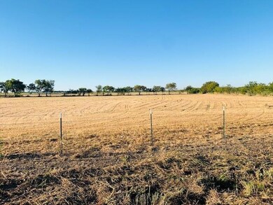 2733 County Road 905, Joshua, TX 76058 - photo 3