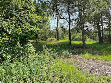 NKA Pinnacle Dr unit 94, Deep River Township, MI 48749 - photo 5