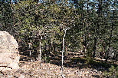 11722 Braun Way, Conifer, CO 80433 - photo 4