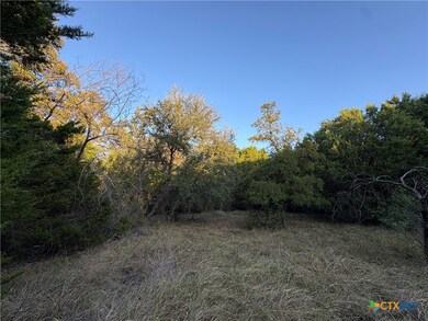 0 County Road 2773, Lometa, TX 76853 - photo 2