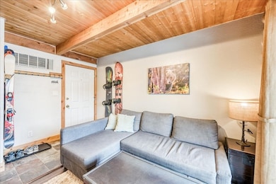 100 Cove Blvd unit B, Dillon, CO 80435 - photo 5