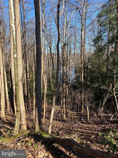 0 Lot 68 & 67 S Independence unit VAWE118306, Montross, VA 22520 - photo 5