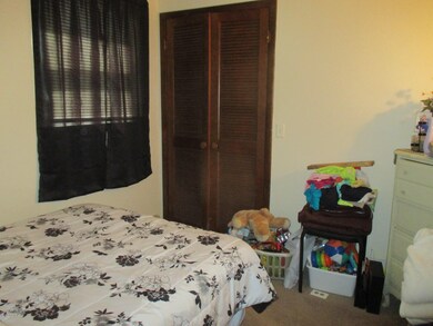 432 E Dayton St, Fremont, MI 49412 - photo 4