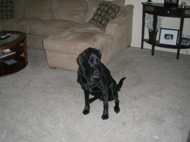 Zoe, doesn't go with the house