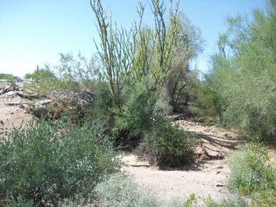 Canyon Street - 1