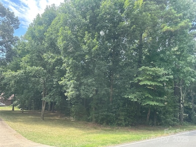 0000 Webbs Rd, Denver, NC 28037 - photo 3