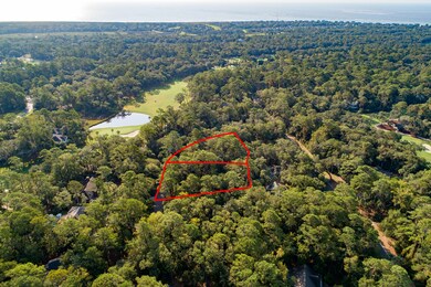 3205&3215 Pine Needle Ln, Seabrook Island, SC 29455 - photo 2