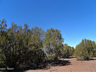 full of junipers