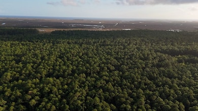 0 Lower Bay Rd unit LotWP001, Waveland, MS 39520 - photo 6