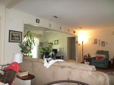 Open Living Area