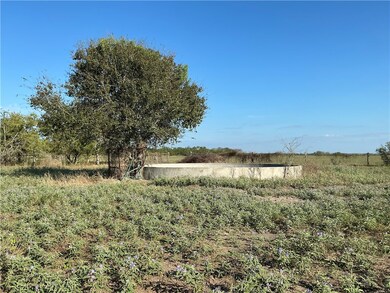 0 Fm 1352 unit 465112, Alice, TX 78332 - photo 5