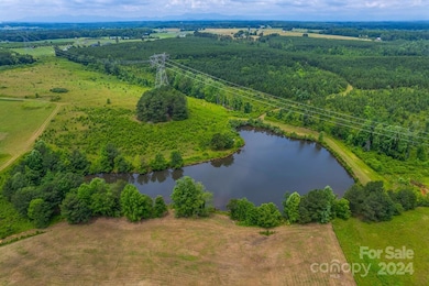 73 Pond View Ln unit 66, Rutherfordton, NC 28139 - photo 6