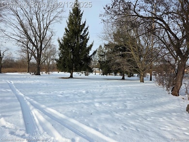 10485 Willis Rd, Willis, MI 48191 - photo 2