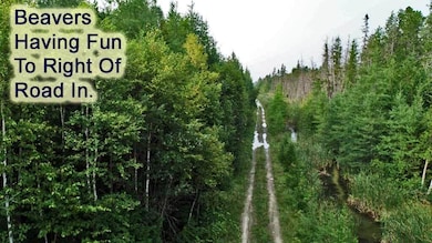 road-into-mapleton-land