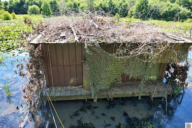 0 Mayfield Rd, Wickliffe, KY 42087 - photo 5