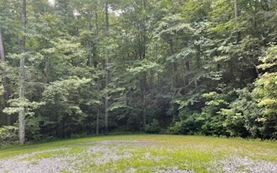 Additional View
