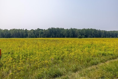 13 Acres Whitetail Ln, Tipler, WI 54542 - photo 4