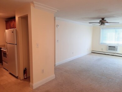 135 Grove St unit 117, Rockland, MA 02370 - photo 7