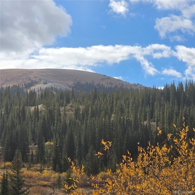 5347 Monitor Lode Claims, Leadville, CO 80461 - photo 2