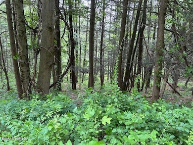 0 Glendale Rd unit 245211, Stockbridge, MA 01262 - photo 2