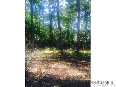 11 Balsamwood Dr, Leicester, NC 28748 - photo 3