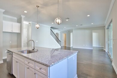 3626 W Clark Cir, Tampa, FL 33629 - photo 7