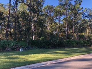 150 Bluebill Trail, Brunswick, GA 31523 - photo 2