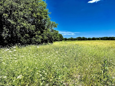 20771 County Road 590, Nevada, TX 75173 - photo 4