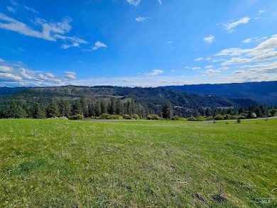 0 Dent Bridge Rd, Orofino, ID 83544 - photo 7