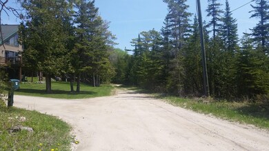 2 track road into lots