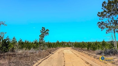 0 Old Cc Rd, Cassatt, SC 29032 - photo 3