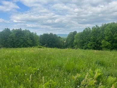 360 City Farm Rd, Newport, VT 05855 - photo 4