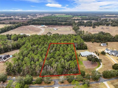 2004 SW 188th St, Newberry, FL 32669 - photo 5