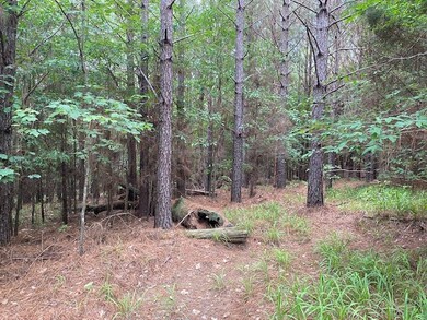 TBA County Road 435, Oxford, MS 38655 - photo 6