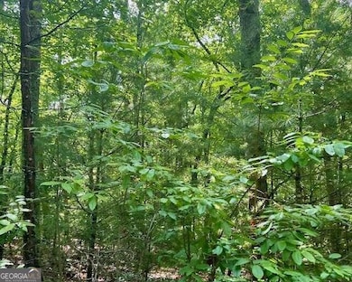 0 Hillbilly Holler unit 10349381, Blue Ridge, GA 30513 - photo 7