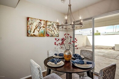 0007-Thunderbird (7)