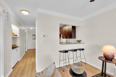 233 N Main St unit 405, Greenville, SC 29601 - photo 6