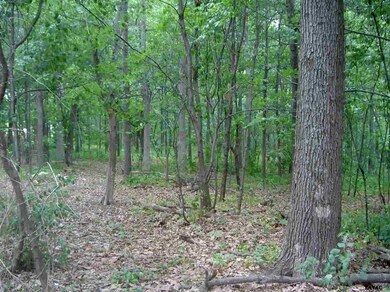 74 Marcey Ct unit 1, Littlestown, PA 17340 - photo 4