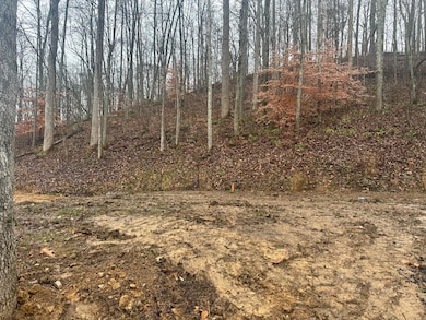 137  Lot 54 Yellowstone Dr unit Lot 54, East Bernstadt, KY 40729 - photo 3