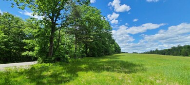 0 Old Turnpike & Off Old Turnpike Rd unit 4913789, Salisbury, NH 03268 - photo 7
