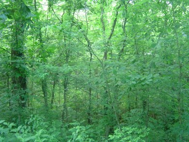 0 Mill Rd, Shelbyville, TN 37160 - photo 5