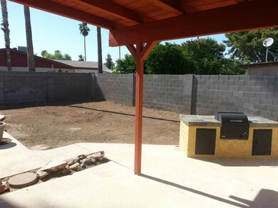 back yard palmer