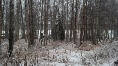 Lot 17 Cheri lake view