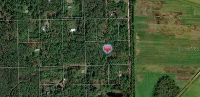 442 Ranchette Rd, New Smyrna Beach, FL 32168 - photo 6